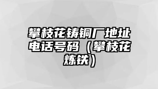 攀枝花鑄銅廠地址電話號碼（攀枝花煉鐵）