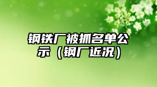 鋼鐵廠被抓名單公示（鋼廠近況）