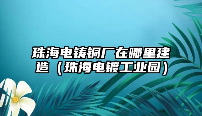 珠海電鑄銅廠在哪里建造（珠海電鍍工業(yè)園）