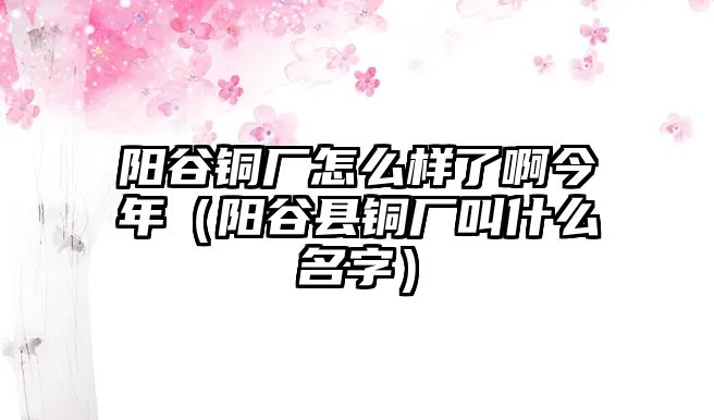 陽谷銅廠怎么樣了啊今年（陽谷縣銅廠叫什么名字）