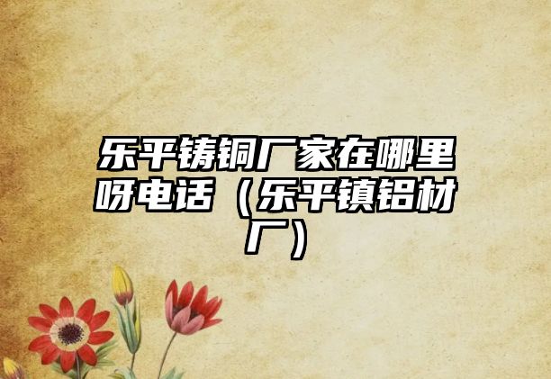 樂平鑄銅廠家在哪里呀電話（樂平鎮(zhèn)鋁材廠）