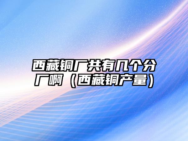 西藏銅廠共有幾個(gè)分廠啊（西藏銅產(chǎn)量）