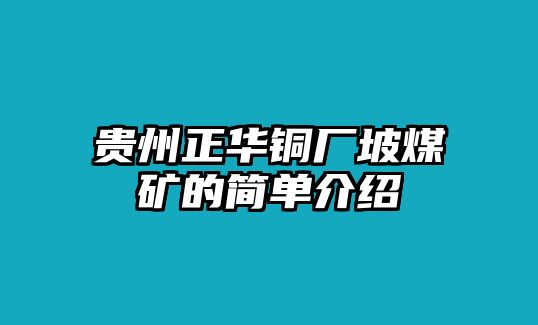 貴州正華銅廠坡煤礦的簡單介紹