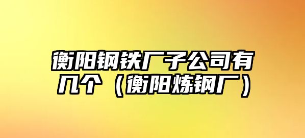 衡陽鋼鐵廠子公司有幾個（衡陽煉鋼廠）