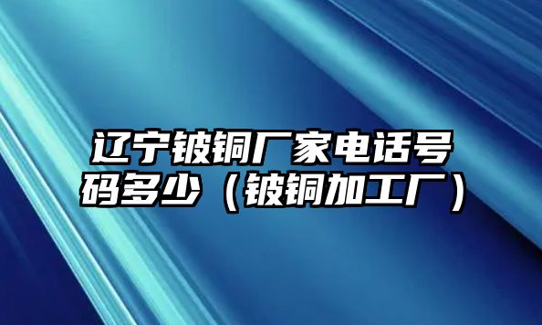 遼寧鈹銅廠家電話號碼多少（鈹銅加工廠）