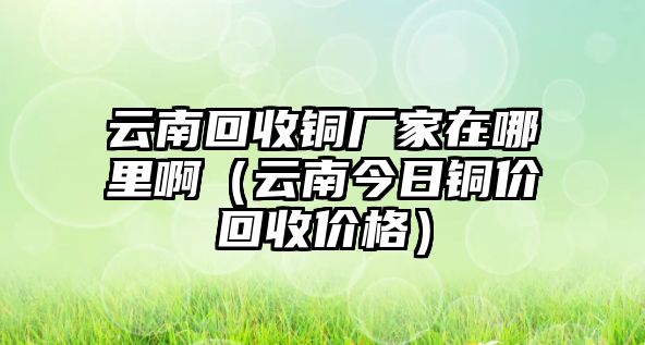 云南回收銅廠家在哪里啊（云南今日銅價(jià)回收價(jià)格）