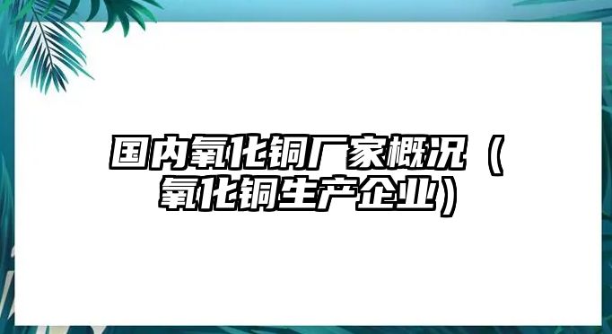 國(guó)內(nèi)氧化銅廠家概況（氧化銅生產(chǎn)企業(yè)）