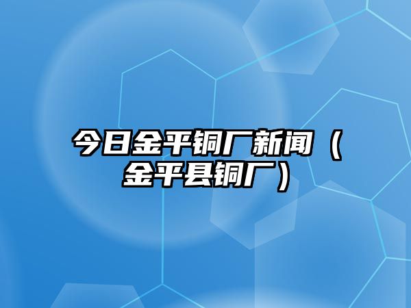 今日金平銅廠新聞（金平縣銅廠）