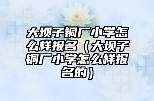 大壩子銅廠小學(xué)怎么樣報名（大壩子銅廠小學(xué)怎么樣報名的）