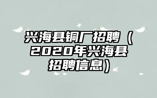 興?？h銅廠招聘（2020年興海縣招聘信息）