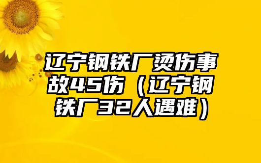 遼寧鋼鐵廠燙傷事故45傷（遼寧鋼鐵廠32人遇難）