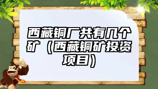 西藏銅廠共有幾個(gè)礦（西藏銅礦投資項(xiàng)目）