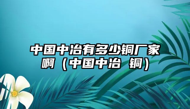 中國(guó)中冶有多少銅廠家?。ㄖ袊?guó)中冶 銅）