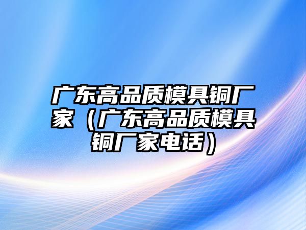 廣東高品質(zhì)模具銅廠家（廣東高品質(zhì)模具銅廠家電話）