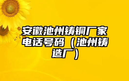 安徽池州鑄銅廠家電話號碼（池州鑄造廠）