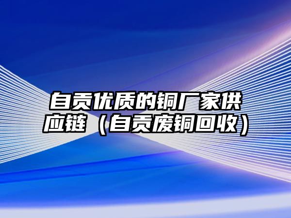 自貢優(yōu)質(zhì)的銅廠家供應(yīng)鏈（自貢廢銅回收）