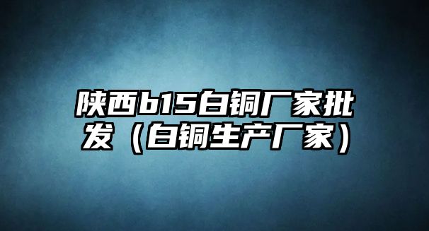 陜西b15白銅廠家批發(fā)（白銅生產(chǎn)廠家）