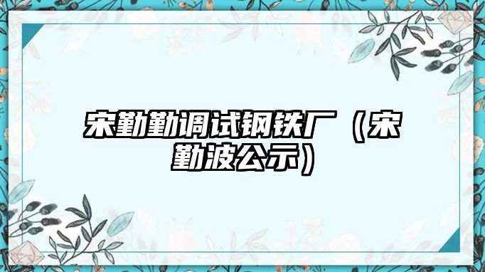 宋勤勤調試鋼鐵廠（宋勤波公示）