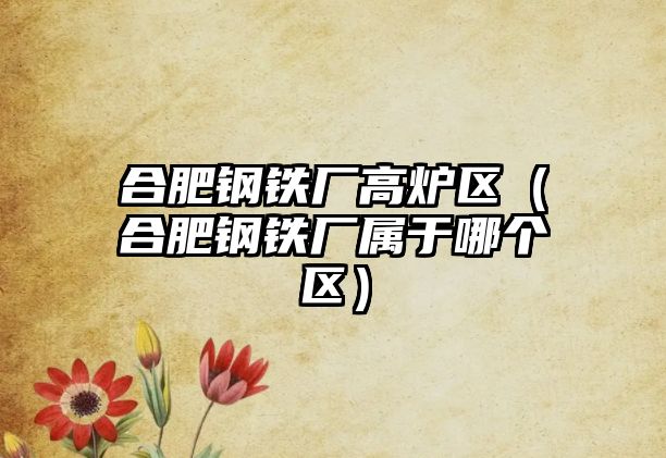 合肥鋼鐵廠高爐區(qū)（合肥鋼鐵廠屬于哪個(gè)區(qū)）