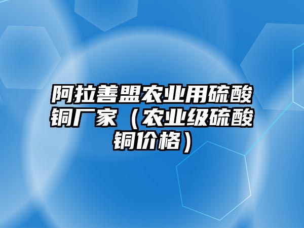 阿拉善盟農(nóng)業(yè)用硫酸銅廠家（農(nóng)業(yè)級硫酸銅價格）