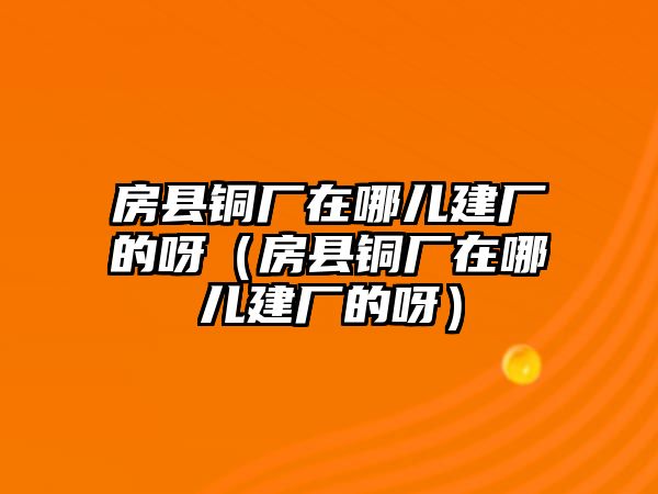 房縣銅廠在哪兒建廠的呀（房縣銅廠在哪兒建廠的呀）