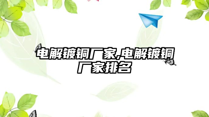 電解鍍銅廠家,電解鍍銅廠家排名