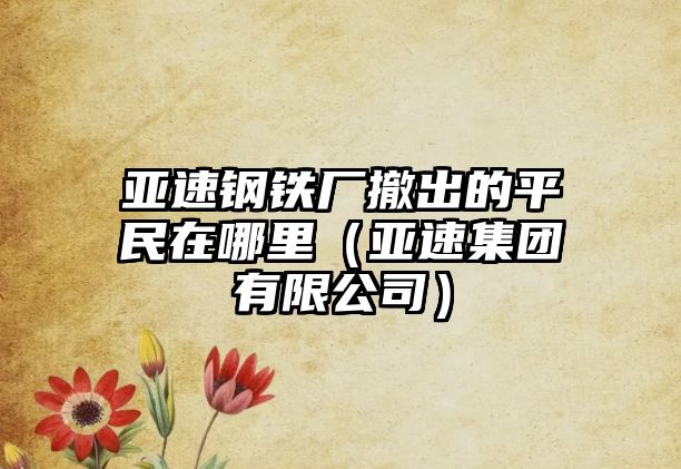 亞速鋼鐵廠撤出的平民在哪里（亞速集團有限公司）