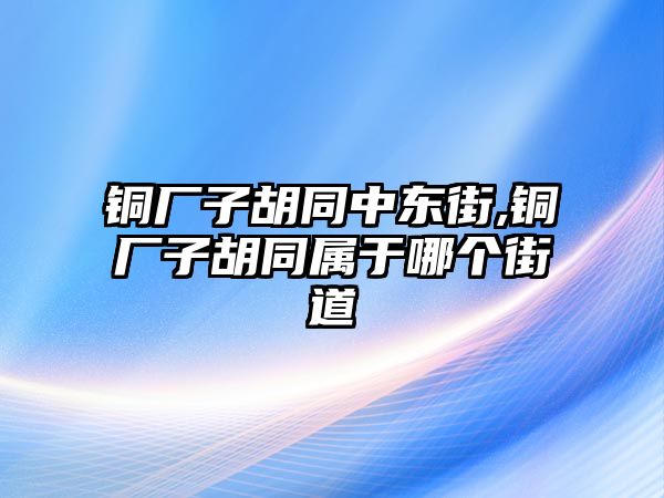 銅廠子胡同中東街,銅廠子胡同屬于哪個街道