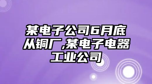 某電子公司6月底從銅廠,某電子電器工業(yè)公司