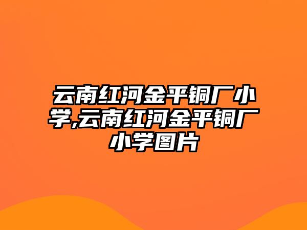 云南紅河金平銅廠小學(xué),云南紅河金平銅廠小學(xué)圖片