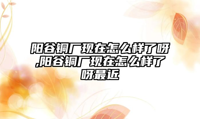 陽谷銅廠現(xiàn)在怎么樣了呀,陽谷銅廠現(xiàn)在怎么樣了呀最近