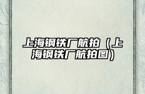 上海鋼鐵廠航拍（上海鋼鐵廠航拍圖）