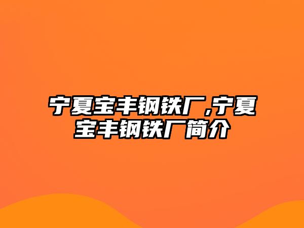 寧夏寶豐鋼鐵廠,寧夏寶豐鋼鐵廠簡(jiǎn)介