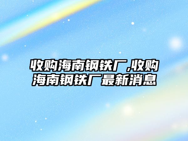 收購海南鋼鐵廠,收購海南鋼鐵廠最新消息