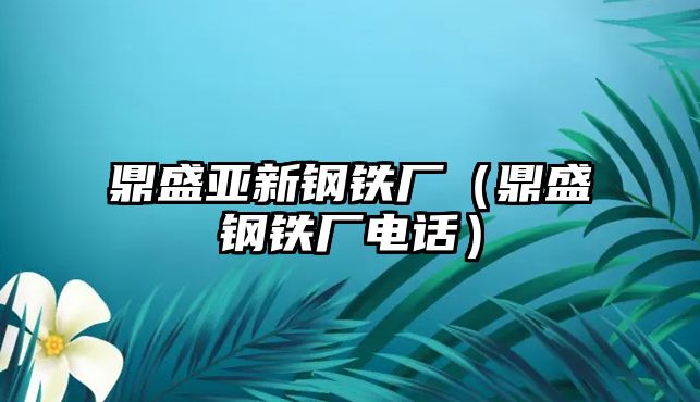 鼎盛亞新鋼鐵廠（鼎盛鋼鐵廠電話）