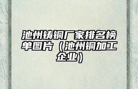 池州鑄銅廠家排名榜單圖片（池州銅加工企業(yè)）