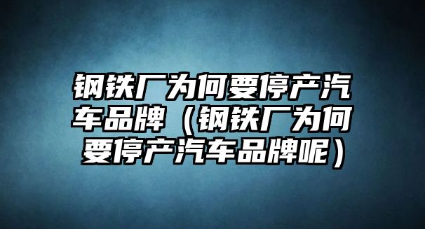 鋼鐵廠為何要停產(chǎn)汽車品牌（鋼鐵廠為何要停產(chǎn)汽車品牌呢）