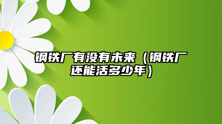 鋼鐵廠(chǎng)有沒(méi)有未來(lái)（鋼鐵廠(chǎng)還能活多少年）