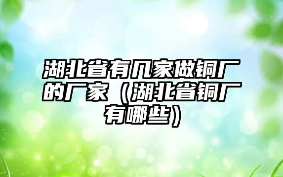 湖北省有幾家做銅廠的廠家（湖北省銅廠有哪些）