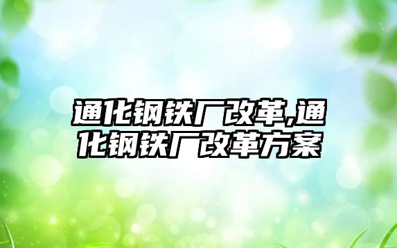 通化鋼鐵廠改革,通化鋼鐵廠改革方案