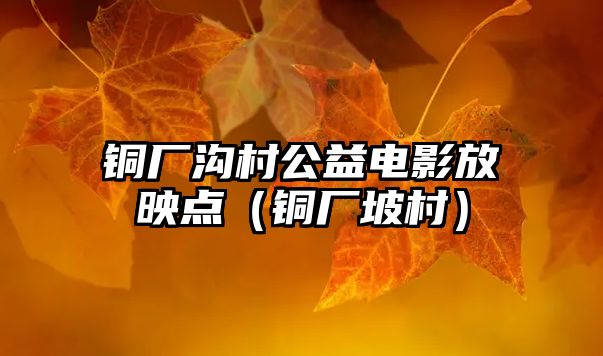 銅廠溝村公益電影放映點(diǎn)（銅廠坡村）