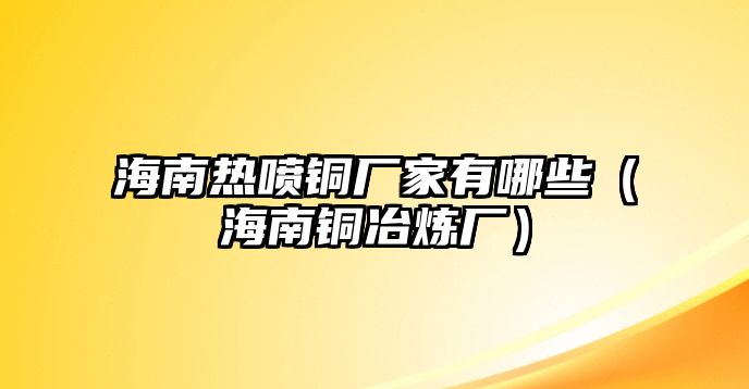 海南熱噴銅廠家有哪些（海南銅冶煉廠）