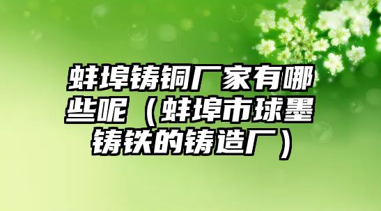 蚌埠鑄銅廠家有哪些呢（蚌埠市球墨鑄鐵的鑄造廠）