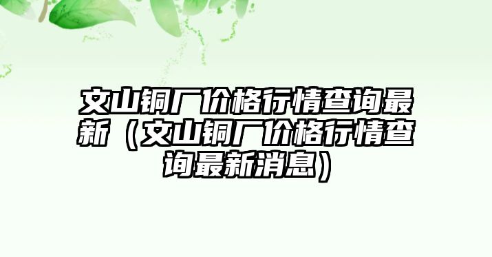 文山銅廠價格行情查詢最新（文山銅廠價格行情查詢最新消息）