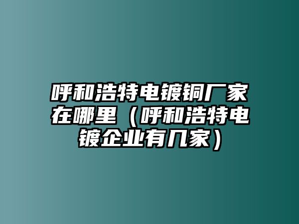 呼和浩特電鍍銅廠家在哪里（呼和浩特電鍍企業(yè)有幾家）