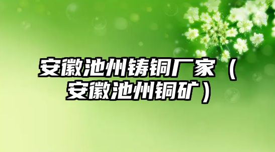 安徽池州鑄銅廠家（安徽池州銅礦）