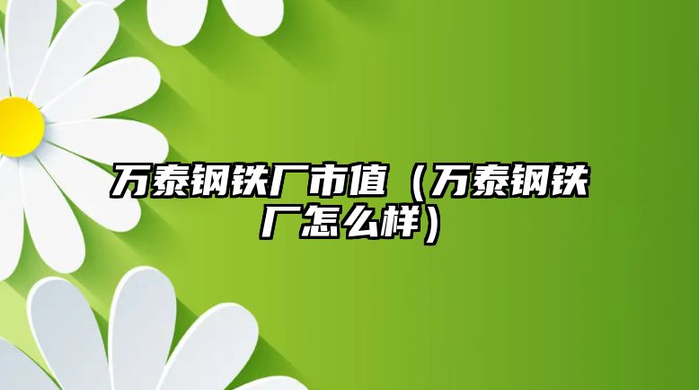 萬泰鋼鐵廠市值（萬泰鋼鐵廠怎么樣）