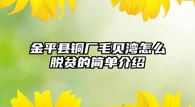 金平縣銅廠毛貝灣怎么脫貧的簡單介紹