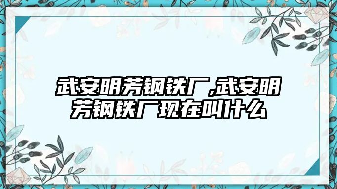 武安明芳鋼鐵廠,武安明芳鋼鐵廠現(xiàn)在叫什么