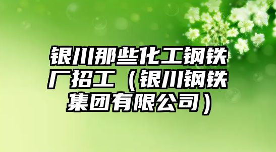 銀川那些化工鋼鐵廠(chǎng)招工（銀川鋼鐵集團(tuán)有限公司）